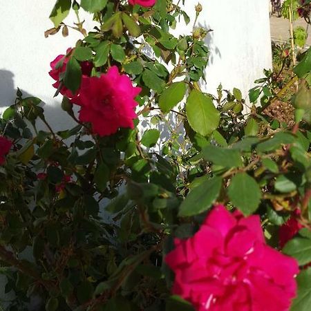 Giardini Di Lanzo Villa Martina Franca Dış mekan fotoğraf