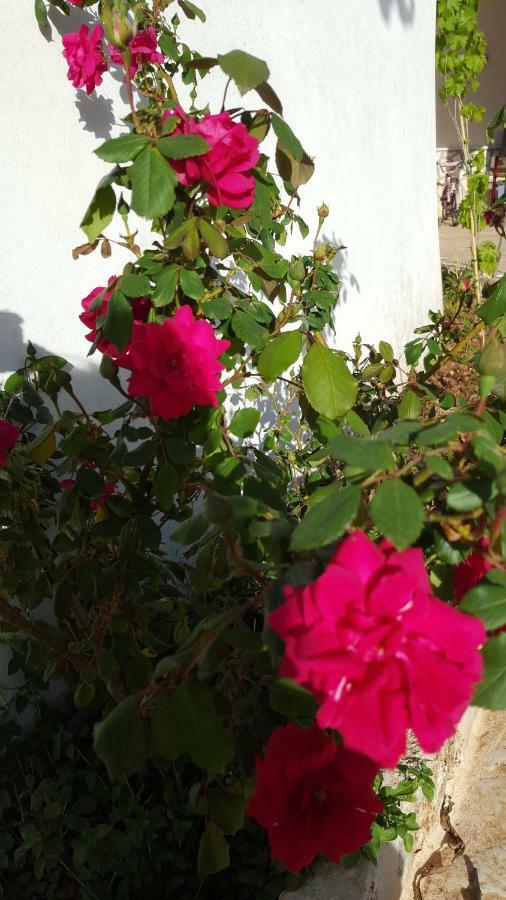 Giardini Di Lanzo Villa Martina Franca Dış mekan fotoğraf